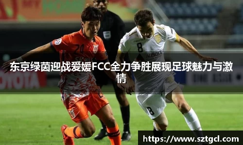 东京绿茵迎战爱媛FCC全力争胜展现足球魅力与激情